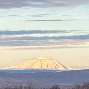 Meet your Posher, Leilani